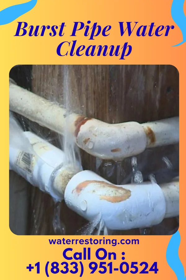 Burst Pipe Water Cleanup in Burlington, VT