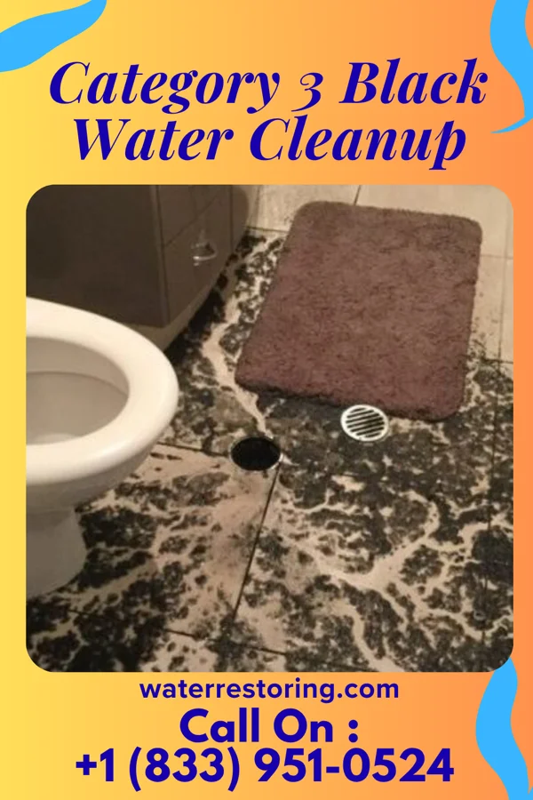 Category 3 Black Water Cleanup in Burlington, VT