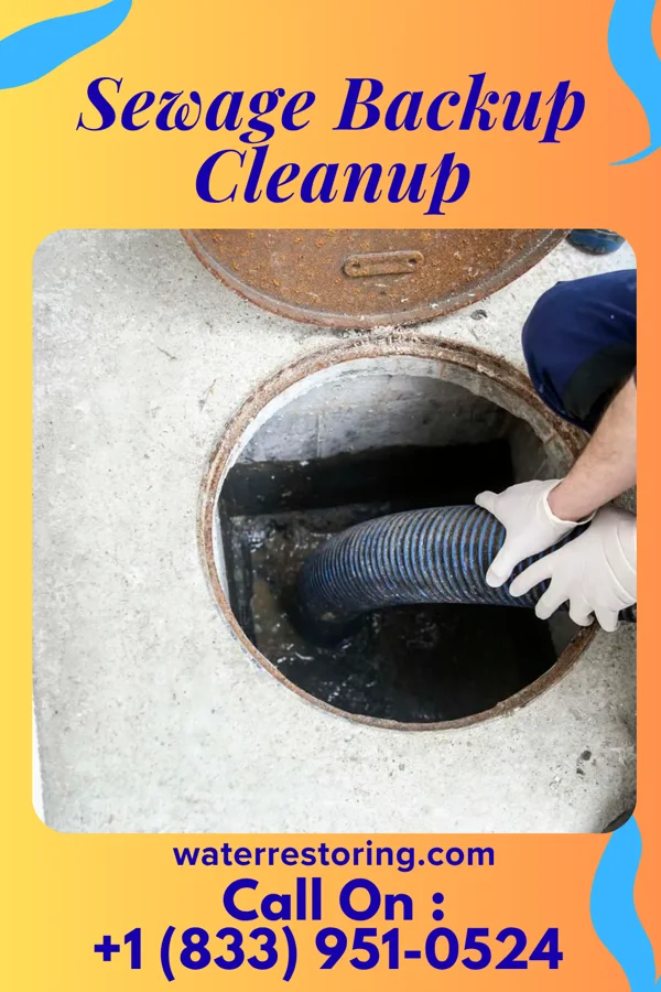 Sewage Backup Cleanup in Burlington, VT