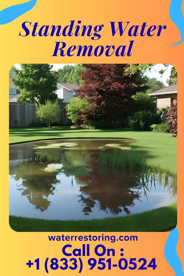 Standing Water Removal in Burlington, VT